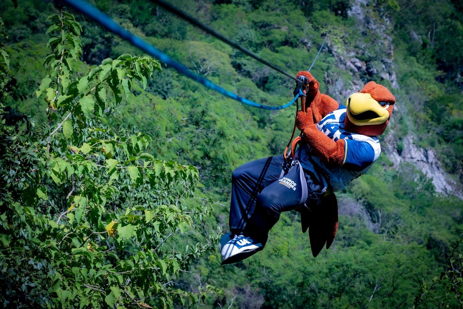 Entre montañas, paisajes espectaculares y guacamayas verdes: la Reserva Ecológica de la UAS reabre sus puertas para vivir una aventura en Cosalá